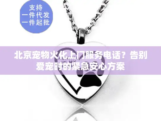北京宠物火化上门服务电话？告别爱宠时的紧急安心方案
