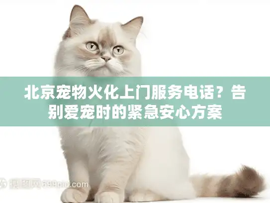 北京宠物火化上门服务电话？告别爱宠时的紧急安心方案