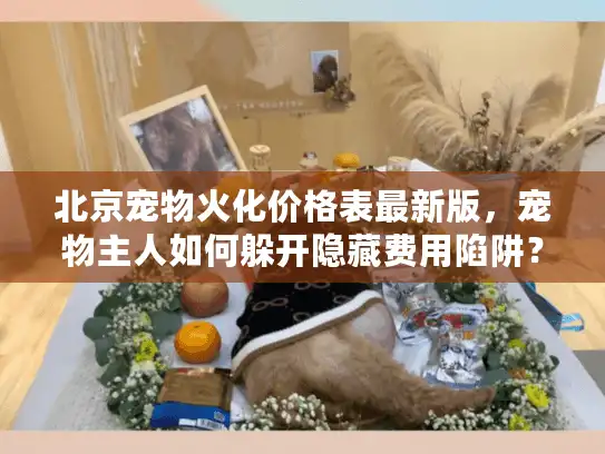 北京宠物火化价格表最新版，宠物主人如何躲开隐藏费用陷阱？