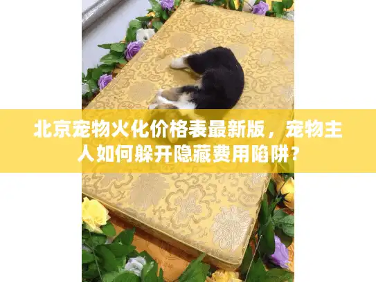 北京宠物火化价格表最新版，宠物主人如何躲开隐藏费用陷阱？