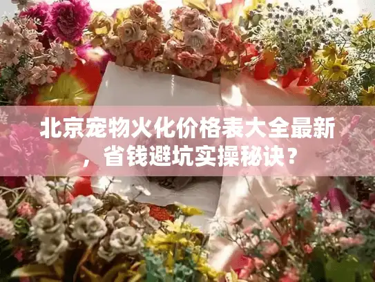 北京宠物火化价格表大全最新，省钱避坑实操秘诀？