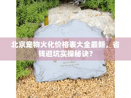 北京宠物火化价格表大全最新，省钱避坑实操秘诀？