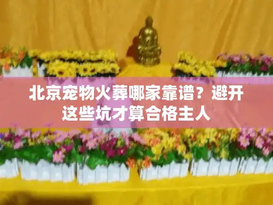 北京宠物火葬哪家靠谱？避开这些坑才算合格主人
