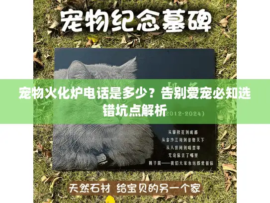 宠物火化炉电话是多少？告别爱宠必知选错坑点解析