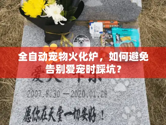 全自动宠物火化炉，如何避免告别爱宠时踩坑？