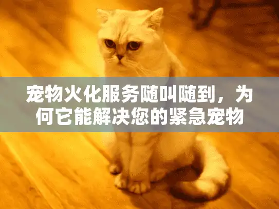 宠物火化服务随叫随到，为何它能解决您的紧急宠物告别难题？