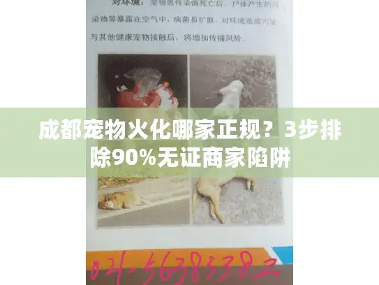 成都宠物火化哪家正规？3步排除90%无证商家陷阱
