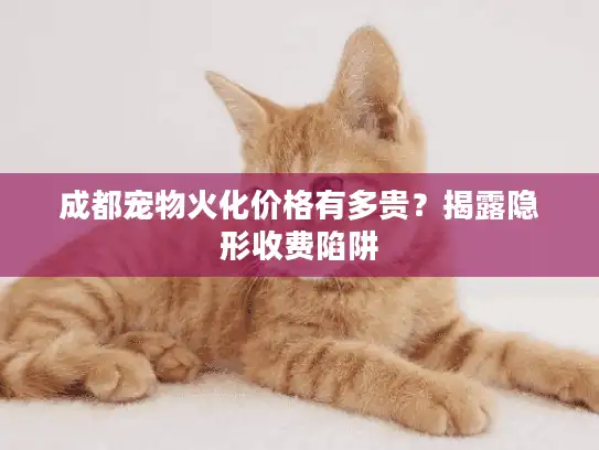 成都宠物火化价格有多贵？揭露隐形收费陷阱