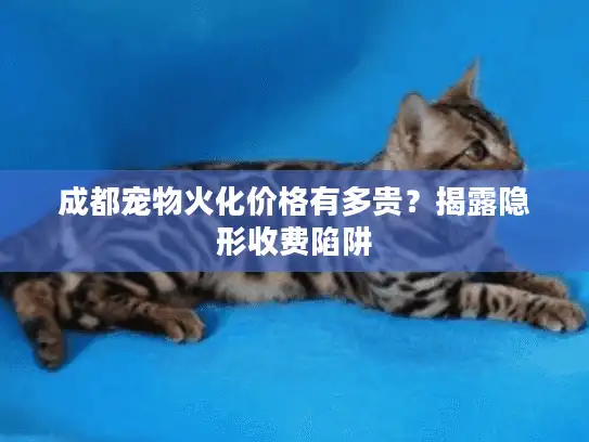 成都宠物火化价格有多贵？揭露隐形收费陷阱