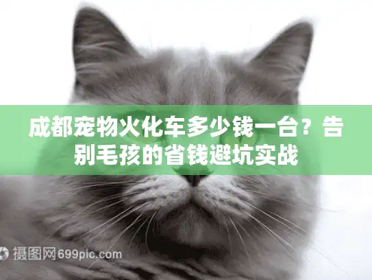 成都宠物火化车多少钱一台？告别毛孩的省钱避坑实战