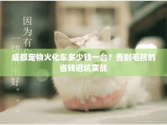 成都宠物火化车多少钱一台？告别毛孩的省钱避坑实战