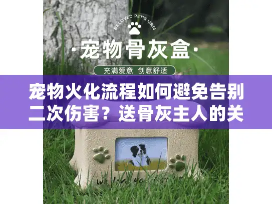 宠物火化流程如何避免告别二次伤害？送骨灰主人的关键细节