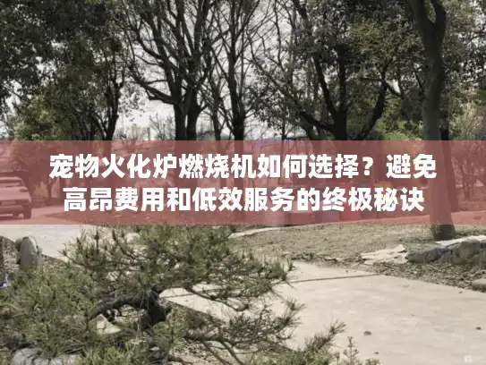 宠物火化炉燃烧机如何选择？避免高昂费用和低效服务的终极秘诀