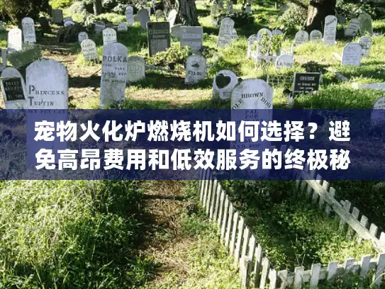 宠物火化炉燃烧机如何选择？避免高昂费用和低效服务的终极秘诀