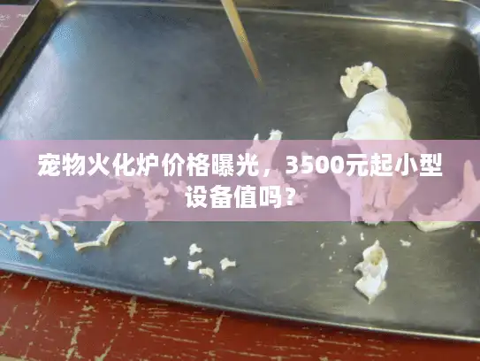 宠物火化炉价格曝光，3500元起小型设备值吗？