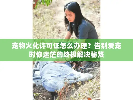 宠物火化许可证怎么办理？告别爱宠时你迷茫的终极解决秘笈