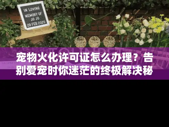 宠物火化许可证怎么办理？告别爱宠时你迷茫的终极解决秘笈