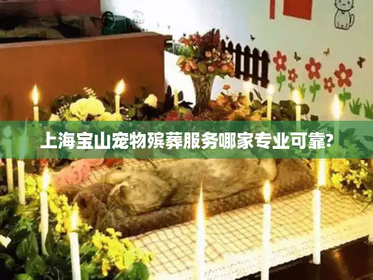 上海宝山宠物殡葬服务哪家专业可靠?
