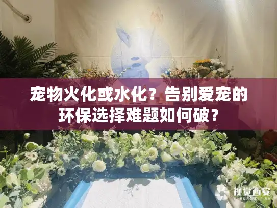 宠物火化或水化？告别爱宠的环保选择难题如何破？
