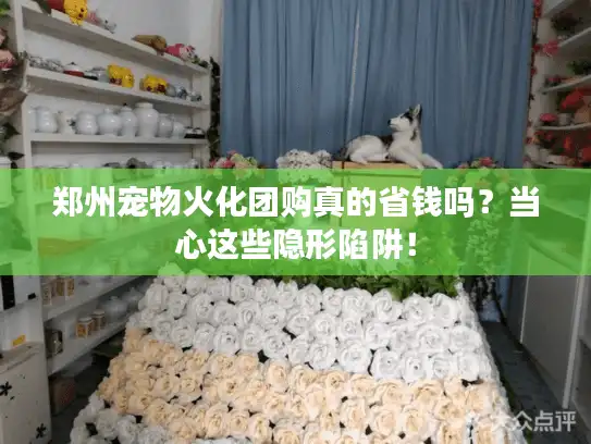 郑州宠物火化团购真的省钱吗？当心这些隐形陷阱！