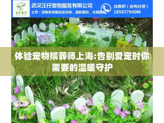 体验宠物殡葬师上海:告别爱宠时你需要的温暖守护
