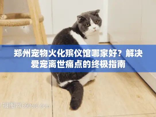 郑州宠物火化殡仪馆哪家好？解决爱宠离世痛点的终极指南