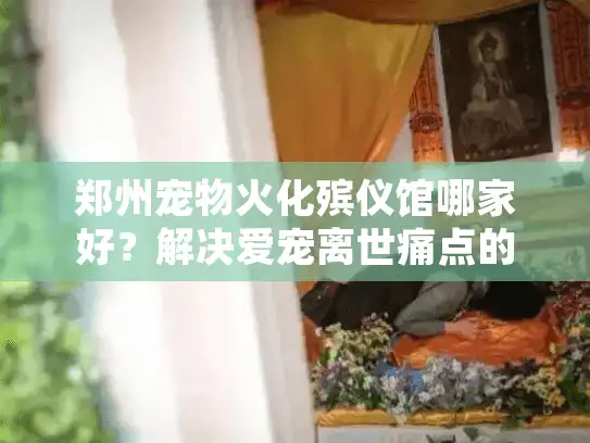 郑州宠物火化殡仪馆哪家好？解决爱宠离世痛点的终极指南