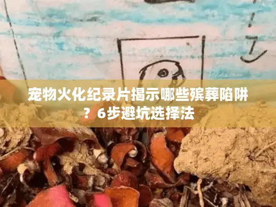 宠物火化纪录片揭示哪些殡葬陷阱？6步避坑选择法