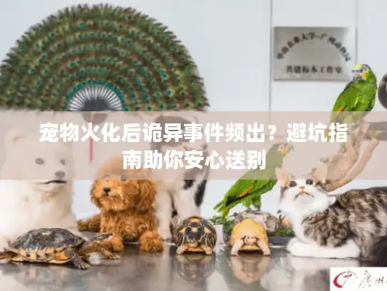 宠物火化后诡异事件频出？避坑指南助你安心送别