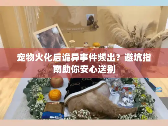 宠物火化后诡异事件频出？避坑指南助你安心送别