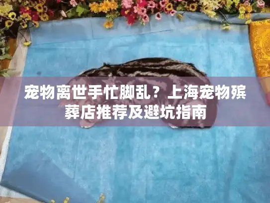 宠物离世手忙脚乱？上海宠物殡葬店推荐及避坑指南