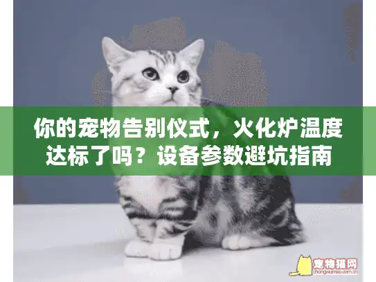 你的宠物告别仪式，火化炉温度达标了吗？设备参数避坑指南