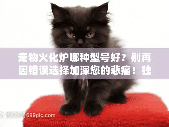 宠物火化炉哪种型号好？别再因错误选择加深您的悲痛！独立首行，字符数，18