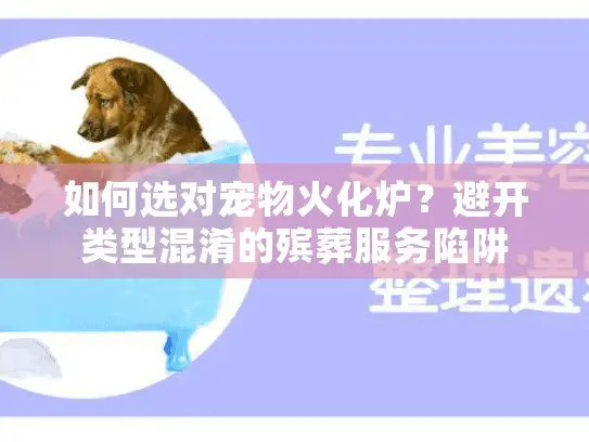 如何选对宠物火化炉？避开类型混淆的殡葬服务陷阱