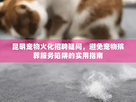 昆明宠物火化招聘疑问，避免宠物殡葬服务陷阱的实用指南