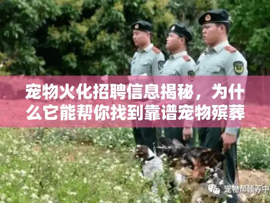 宠物火化招聘信息揭秘，为什么它能帮你找到靠谱宠物殡葬服务？
