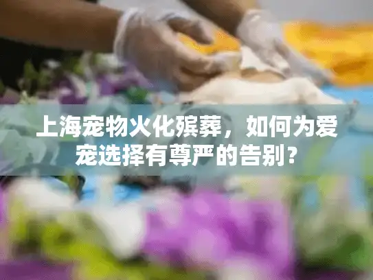 上海宠物火化殡葬，如何为爱宠选择有尊严的告别？