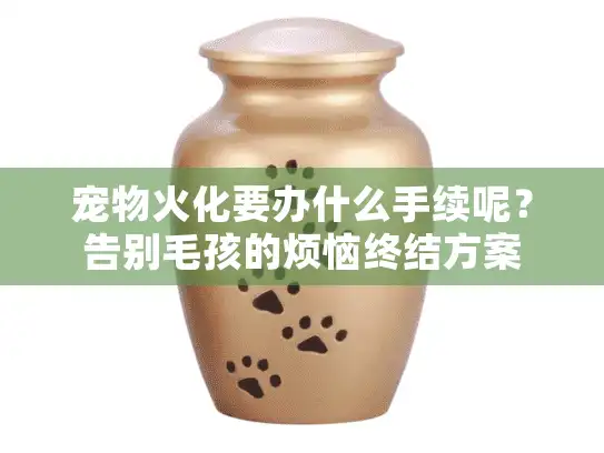 宠物火化要办什么手续呢？告别毛孩的烦恼终结方案