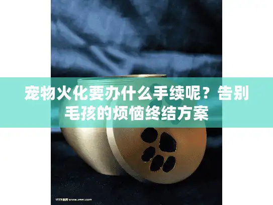 宠物火化要办什么手续呢？告别毛孩的烦恼终结方案