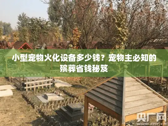 小型宠物火化设备多少钱？宠物主必知的殡葬省钱秘笈