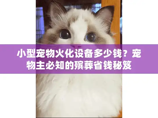 小型宠物火化设备多少钱？宠物主必知的殡葬省钱秘笈
