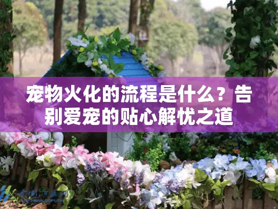 宠物火化的流程是什么？告别爱宠的贴心解忧之道