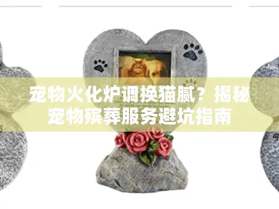 宠物火化炉调换猫腻？揭秘宠物殡葬服务避坑指南