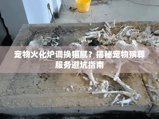 宠物火化炉调换猫腻？揭秘宠物殡葬服务避坑指南