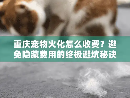 重庆宠物火化怎么收费？避免隐藏费用的终极避坑秘诀