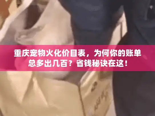 重庆宠物火化价目表，为何你的账单总多出几百？省钱秘诀在这！