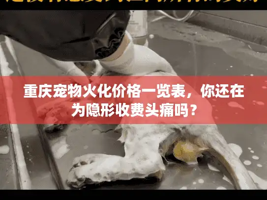 重庆宠物火化价格一览表，你还在为隐形收费头痛吗？