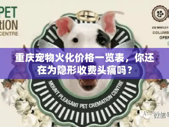 重庆宠物火化价格一览表，你还在为隐形收费头痛吗？