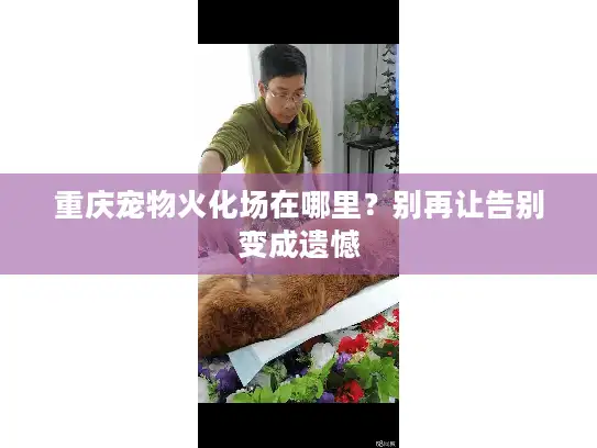 重庆宠物火化场在哪里？别再让告别变成遗憾