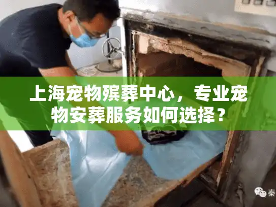 上海宠物殡葬中心，专业宠物安葬服务如何选择？